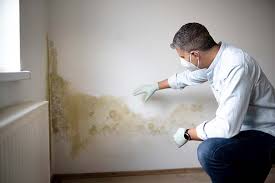 Best Crawl Space Mold Remediation  in Dorneyville, PA